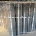 Stainless steel Hot-dipped Galvanized Welded Mesh Rolls and panels